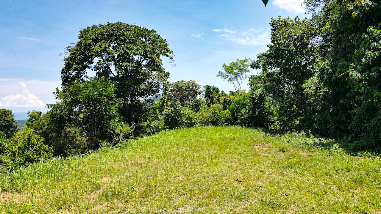 0 bed Land For Sale in Ojochal, Puntarenas - thumb 4