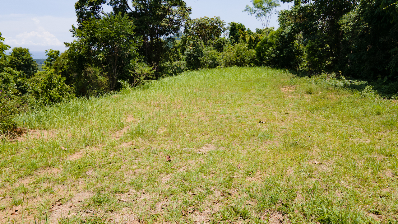 0 bed Land For Sale in Ojochal, Puntarenas - thumb 5