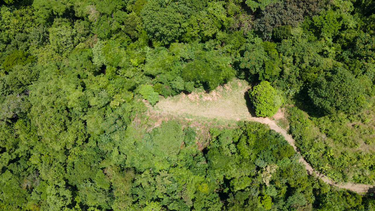0 bed Land For Sale in Ojochal, Puntarenas - thumb 3