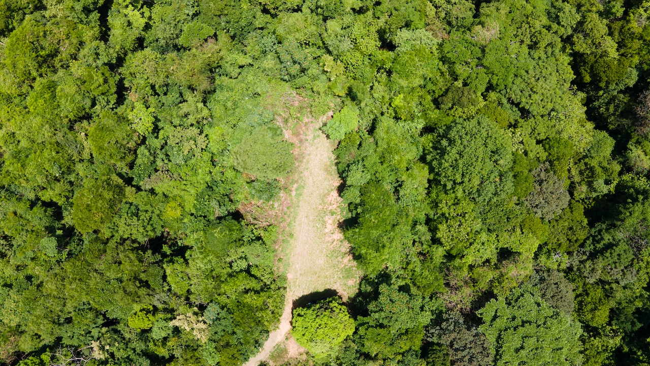 0 bed Land For Sale in Ojochal, Puntarenas - thumb 2