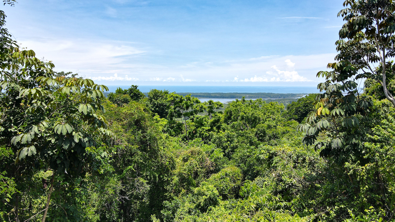 0 bed Land For Sale in Ojochal, Puntarenas - thumb 1