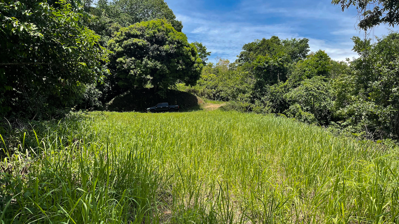 0 bed Land For Sale in Ojochal, Puntarenas - thumb 6