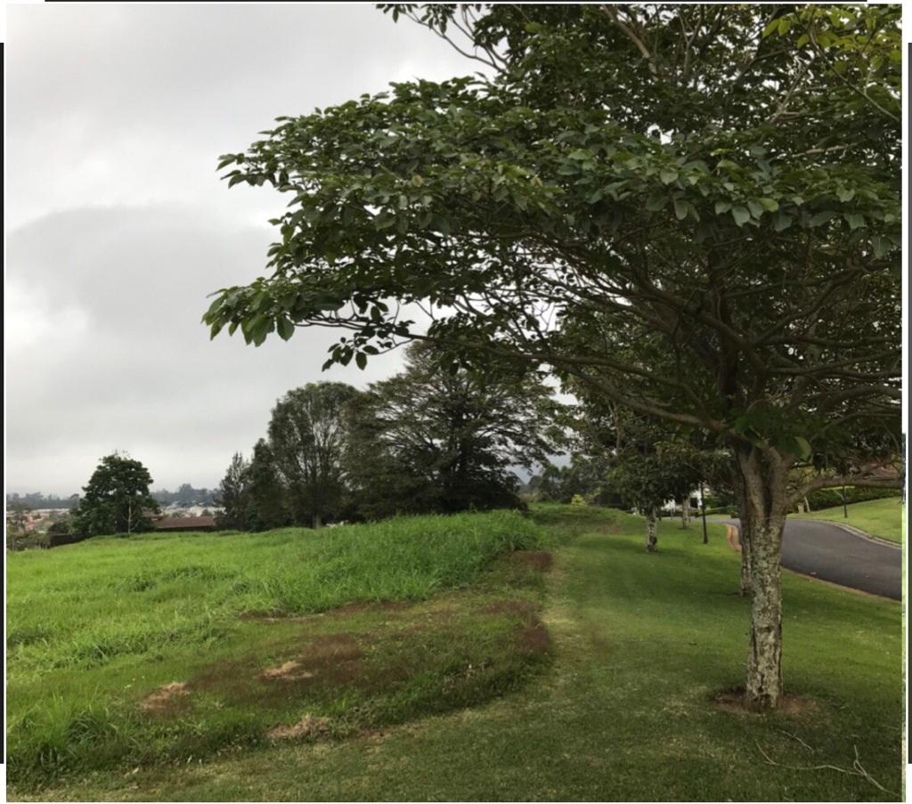 0 bed Land For Sale in Curridabat, San Jose - thumb 9