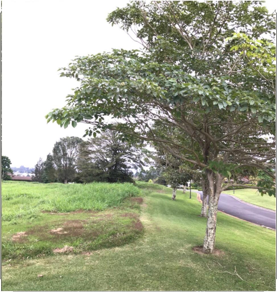 0 bed Land For Sale in Curridabat, San Jose - thumb 7