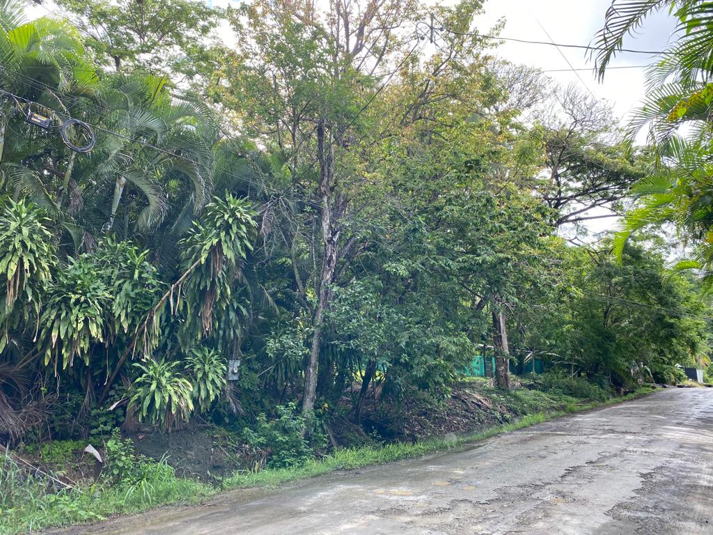 0 bed Land For Sale in Playa Hermosa Santa Teresa, Puntarenas - thumb 6