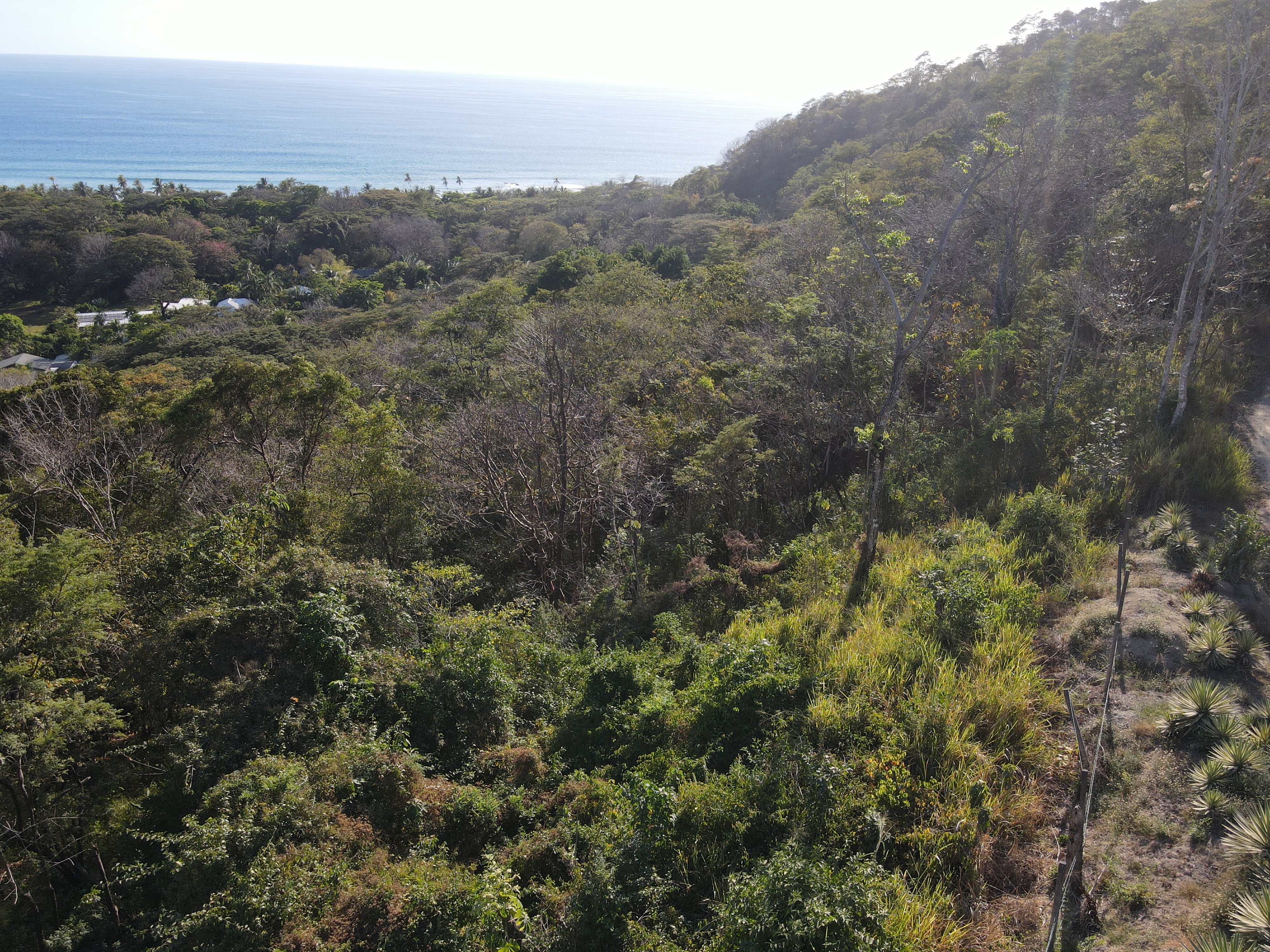 0 bed Land For Sale in Playa Hermosa Santa Teresa, Puntarenas - thumb 2