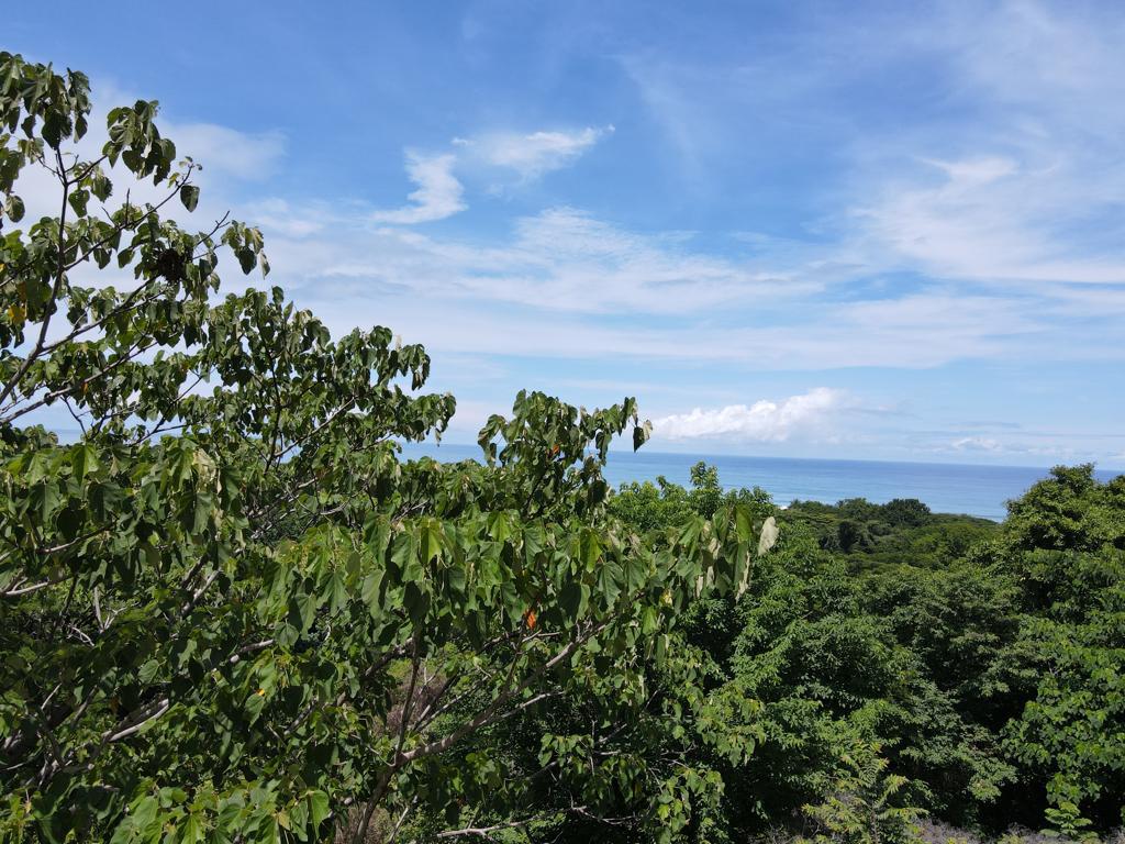 0 bed Land For Sale in Playa Hermosa Santa Teresa, Puntarenas - thumb 7