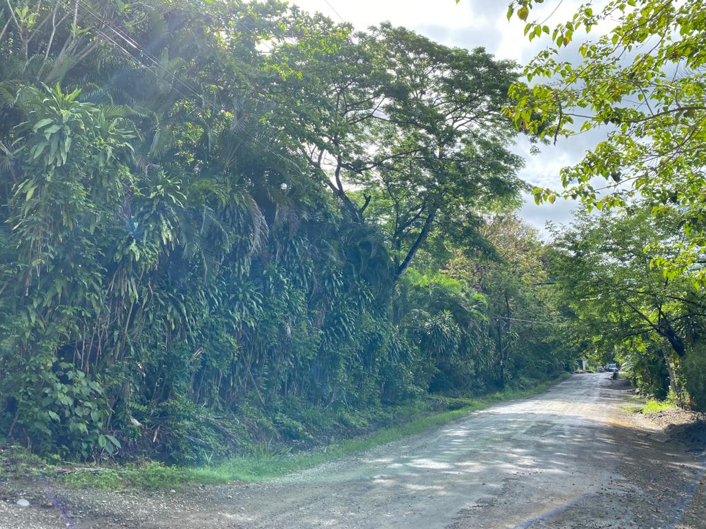 0 bed Land For Sale in Playa Hermosa Santa Teresa, Puntarenas - thumb 4