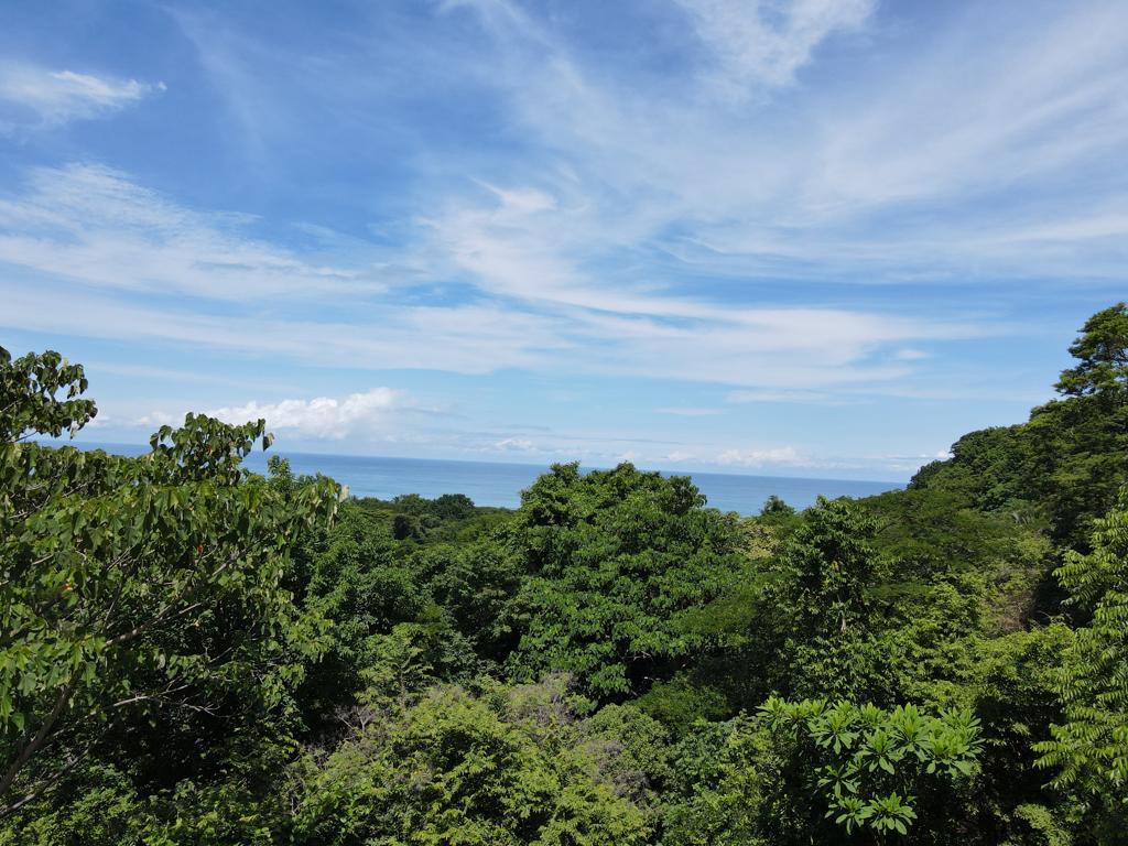 0 bed Land For Sale in Playa Hermosa Santa Teresa, Puntarenas - thumb 8