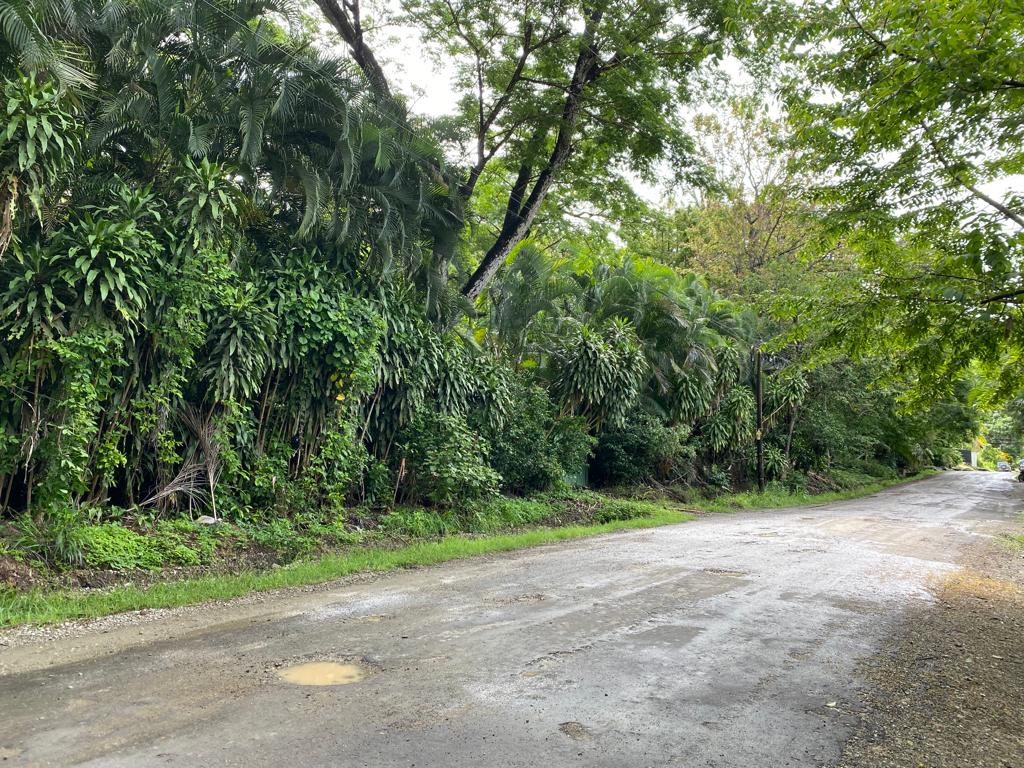 0 bed Land For Sale in Playa Hermosa Santa Teresa, Puntarenas - thumb 5