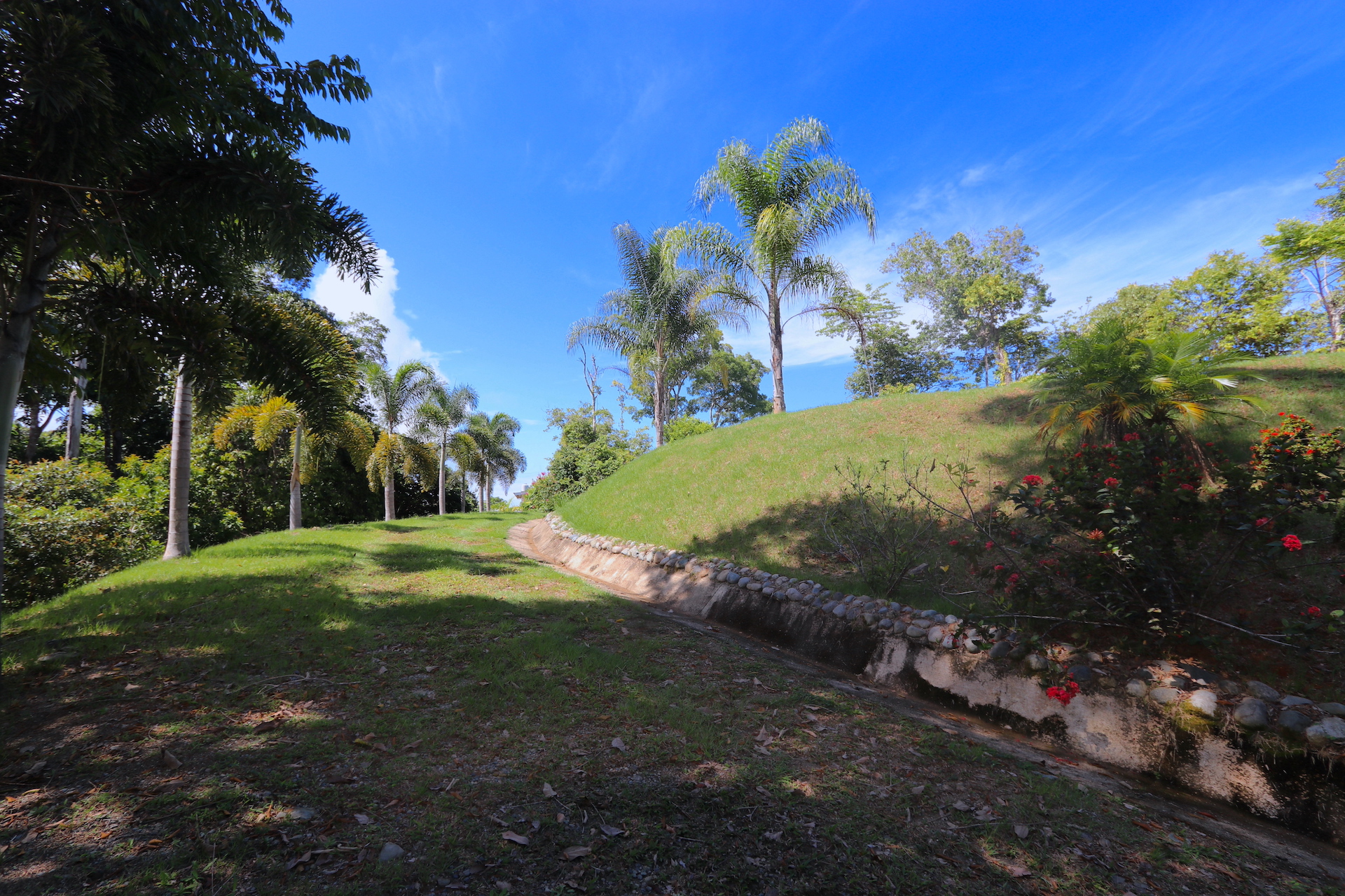 0 bed Land For Sale in Dominical, Puntarenas - thumb 16