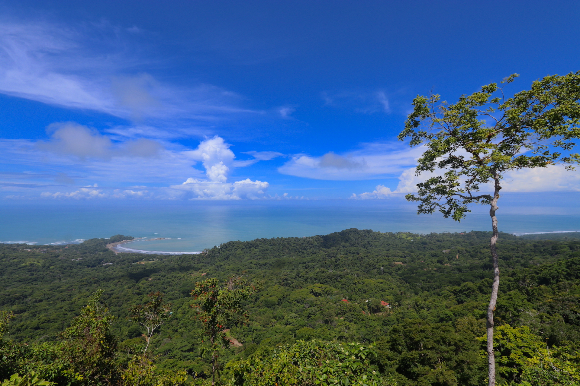 0 bed Land For Sale in Dominical, Puntarenas - thumb 7