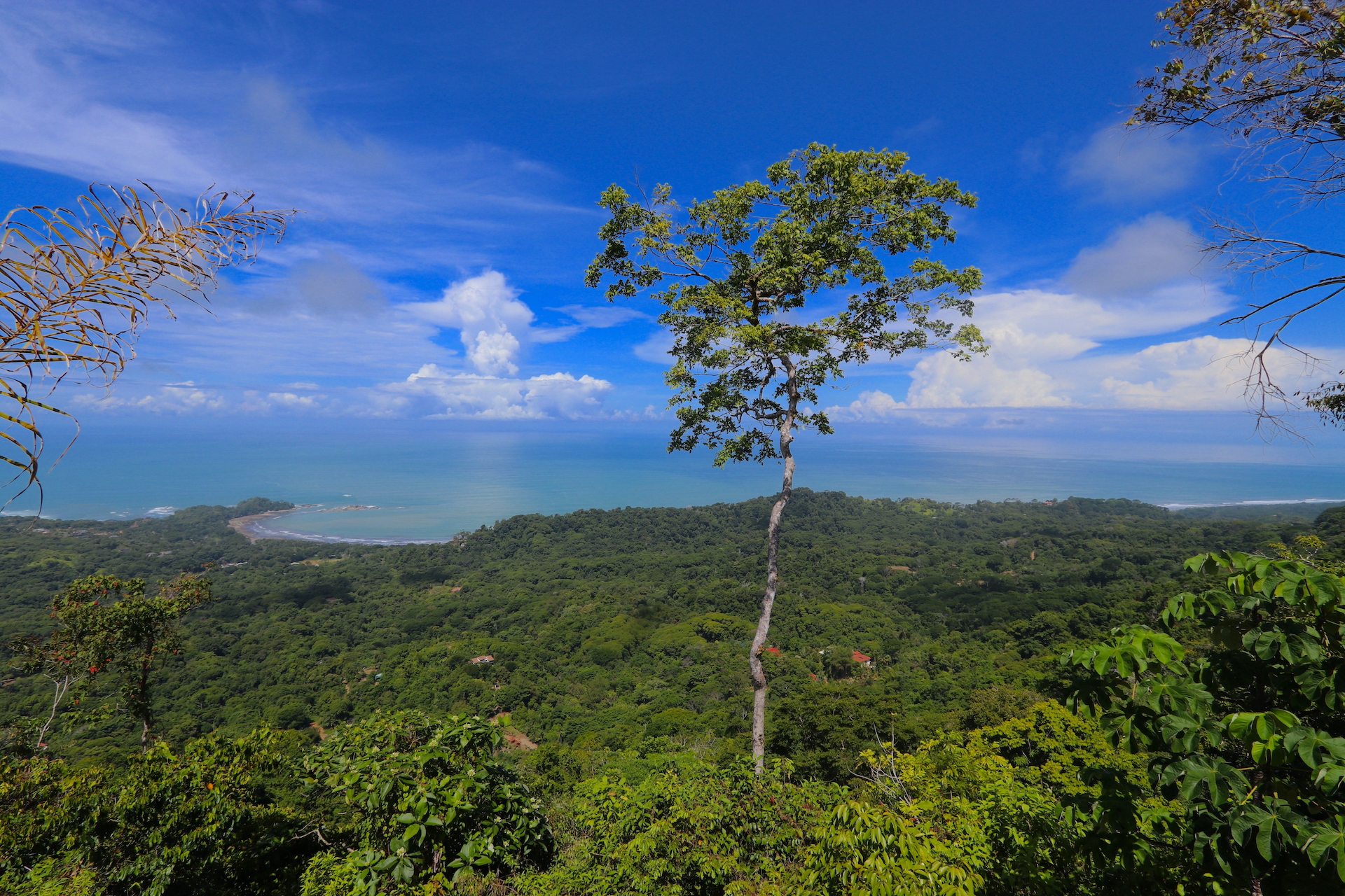 0 bed Land For Sale in Dominical, Puntarenas - thumb 3