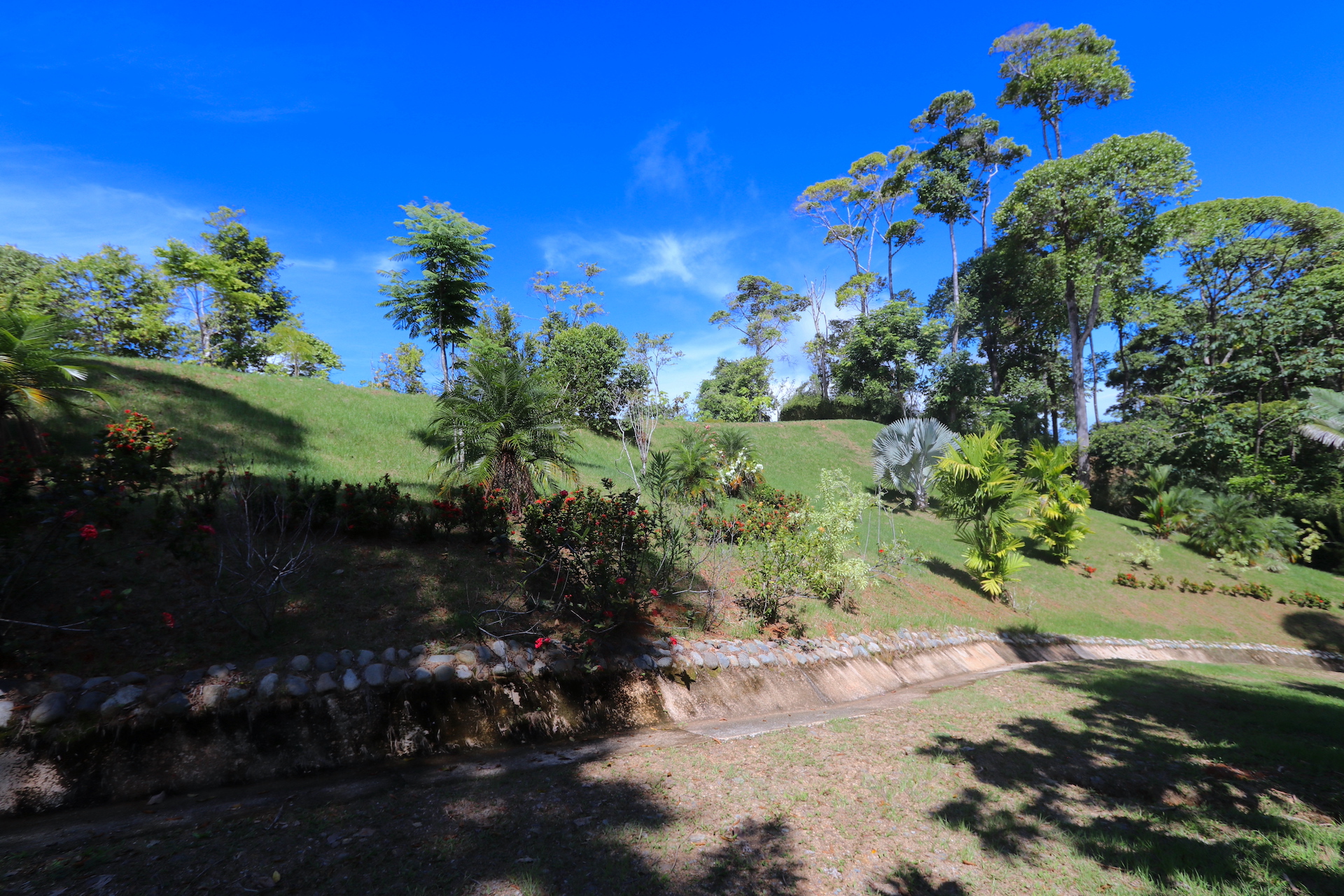 0 bed Land For Sale in Dominical, Puntarenas - thumb 15