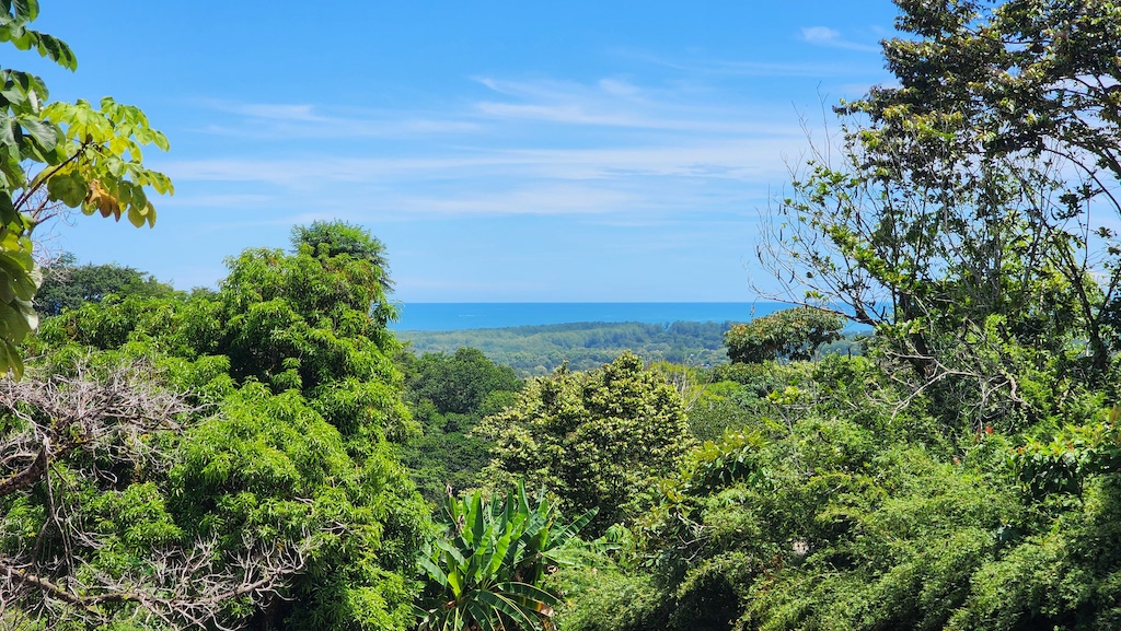 0 bed Land For Sale in Uvita, Puntarenas - thumb 4