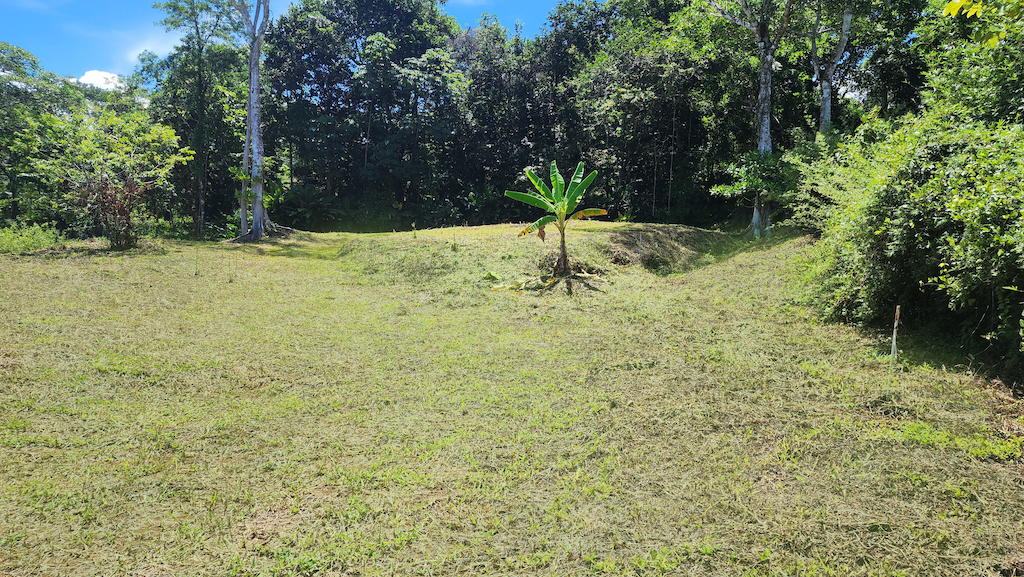 0 bed Land For Sale in Uvita, Puntarenas - thumb 7