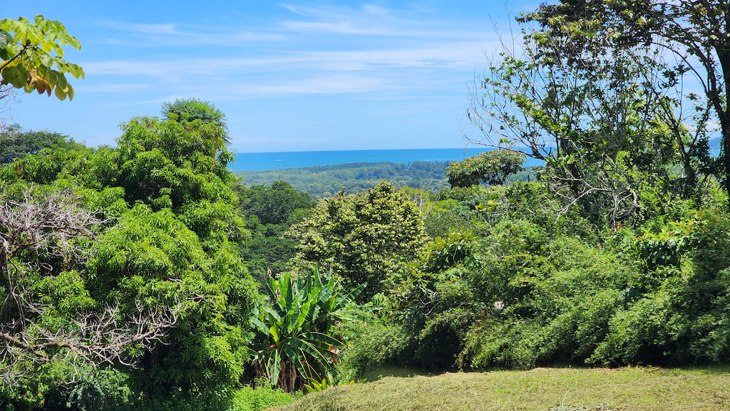 0 bed Land For Sale in Uvita, Puntarenas - thumb 3