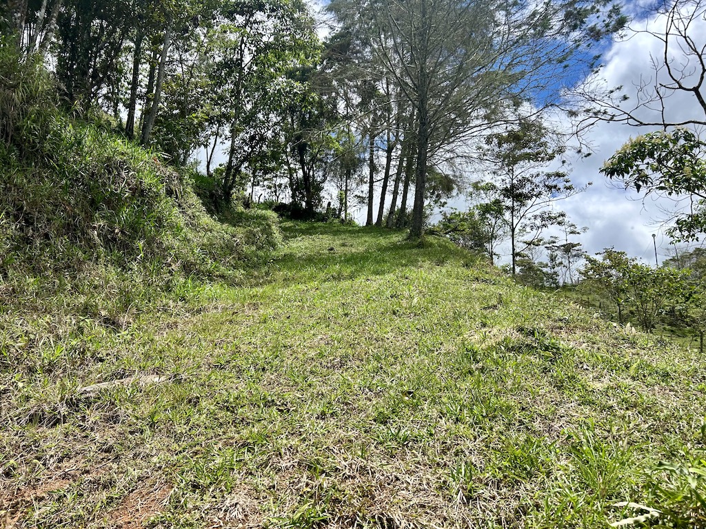 0 bed Land For Sale in San Isidro de El General, San Jose - thumb 22
