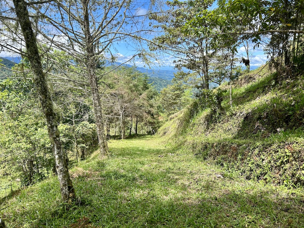 0 bed Land For Sale in San Isidro de El General, San Jose - thumb 25