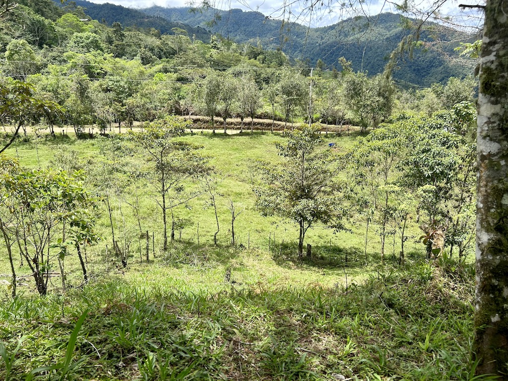 0 bed Land For Sale in San Isidro de El General, San Jose - thumb 24
