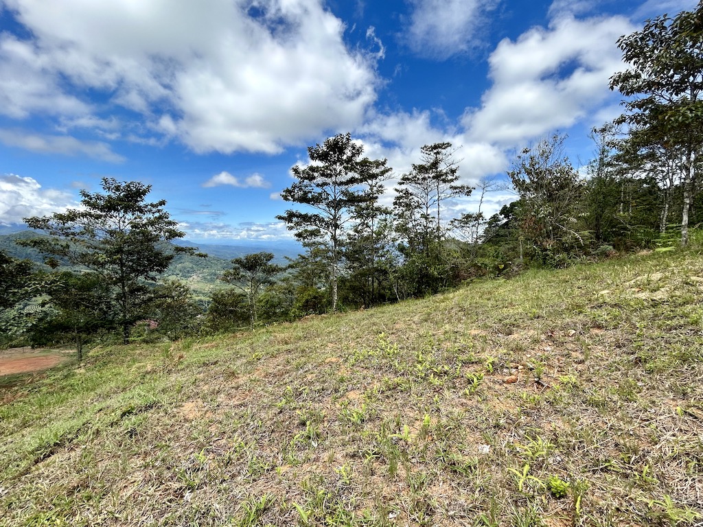 0 bed Land For Sale in San Isidro de El General, San Jose - thumb 18