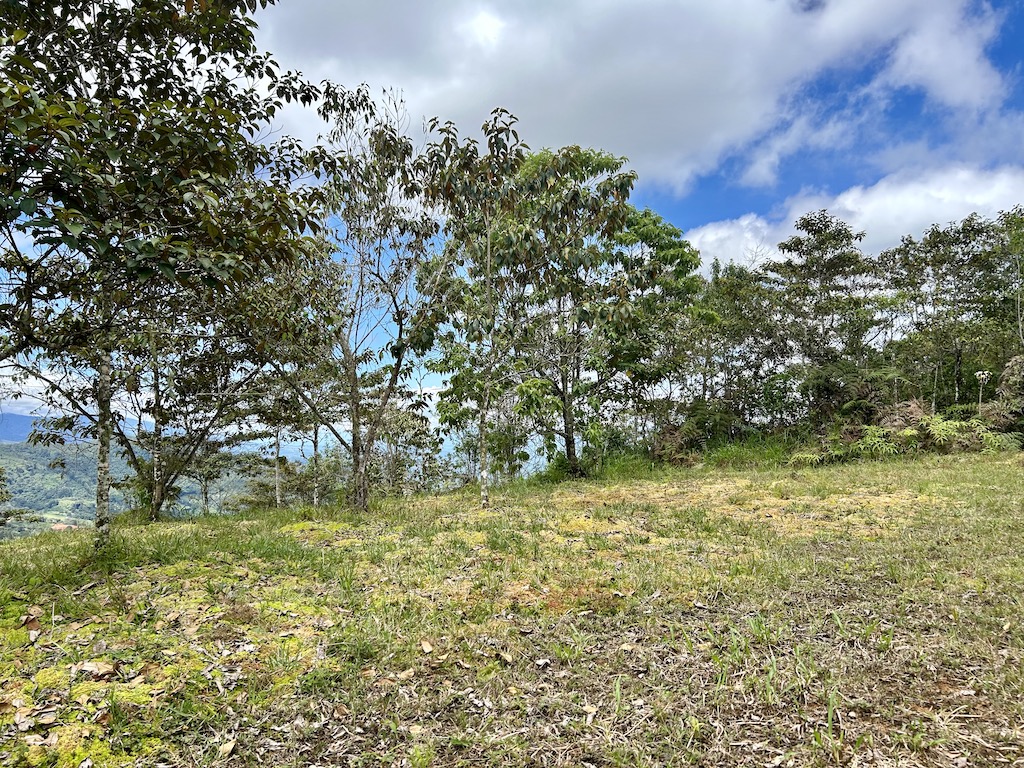 0 bed Land For Sale in San Isidro de El General, San Jose - thumb 19
