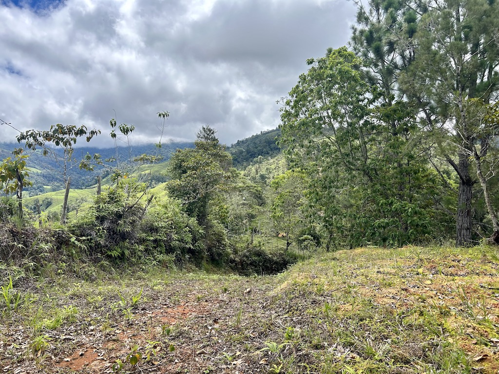 0 bed Land For Sale in San Isidro de El General, San Jose - thumb 21