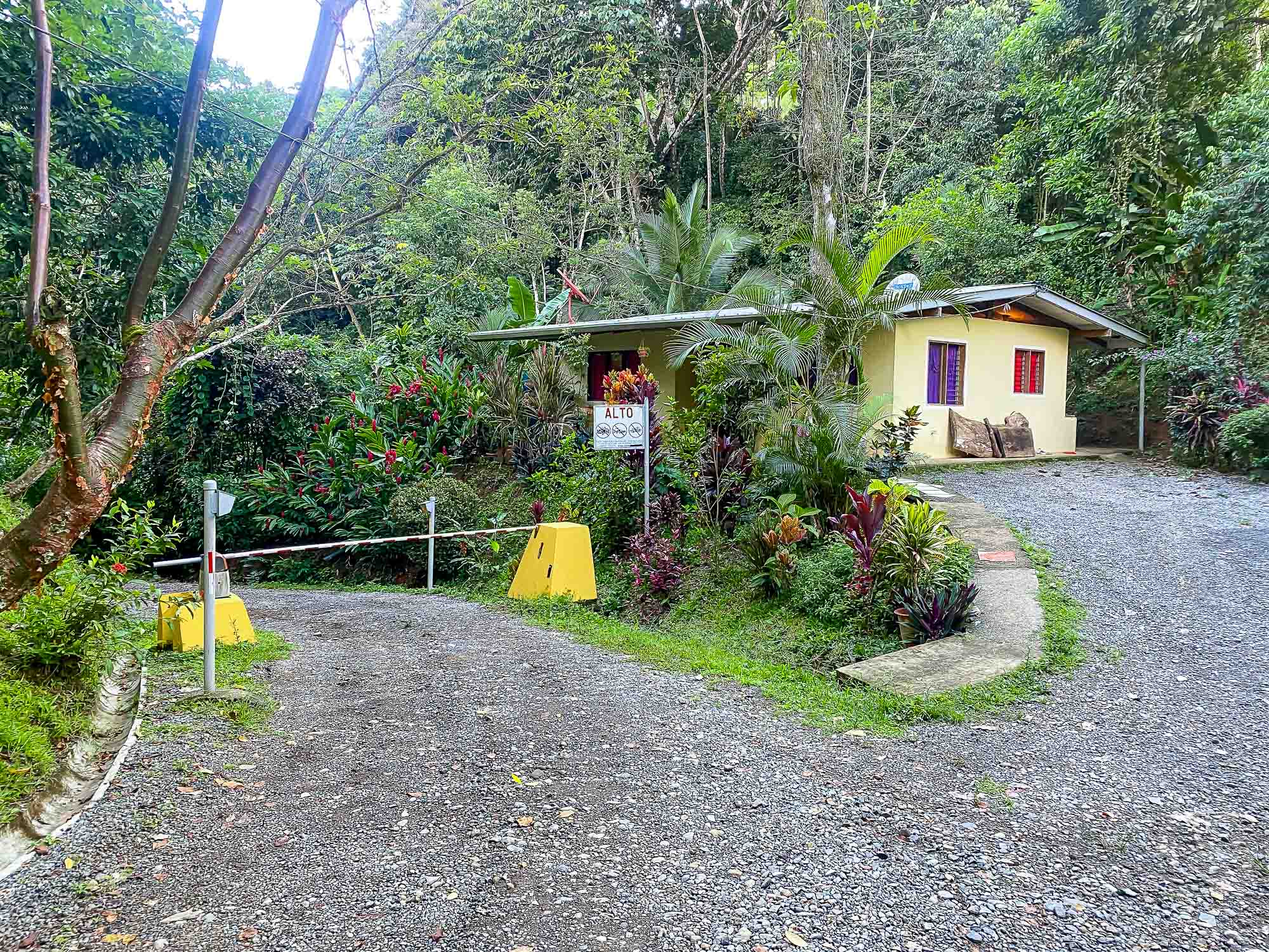 0 bed Land For Sale in Dominical, Puntarenas - thumb 2