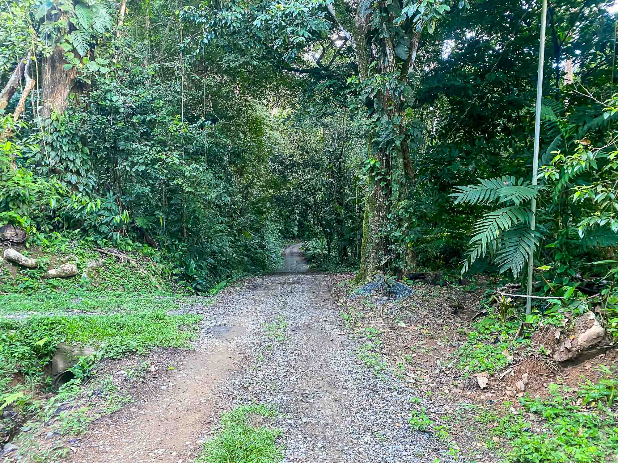 0 bed Land For Sale in Dominical, Puntarenas - thumb 3