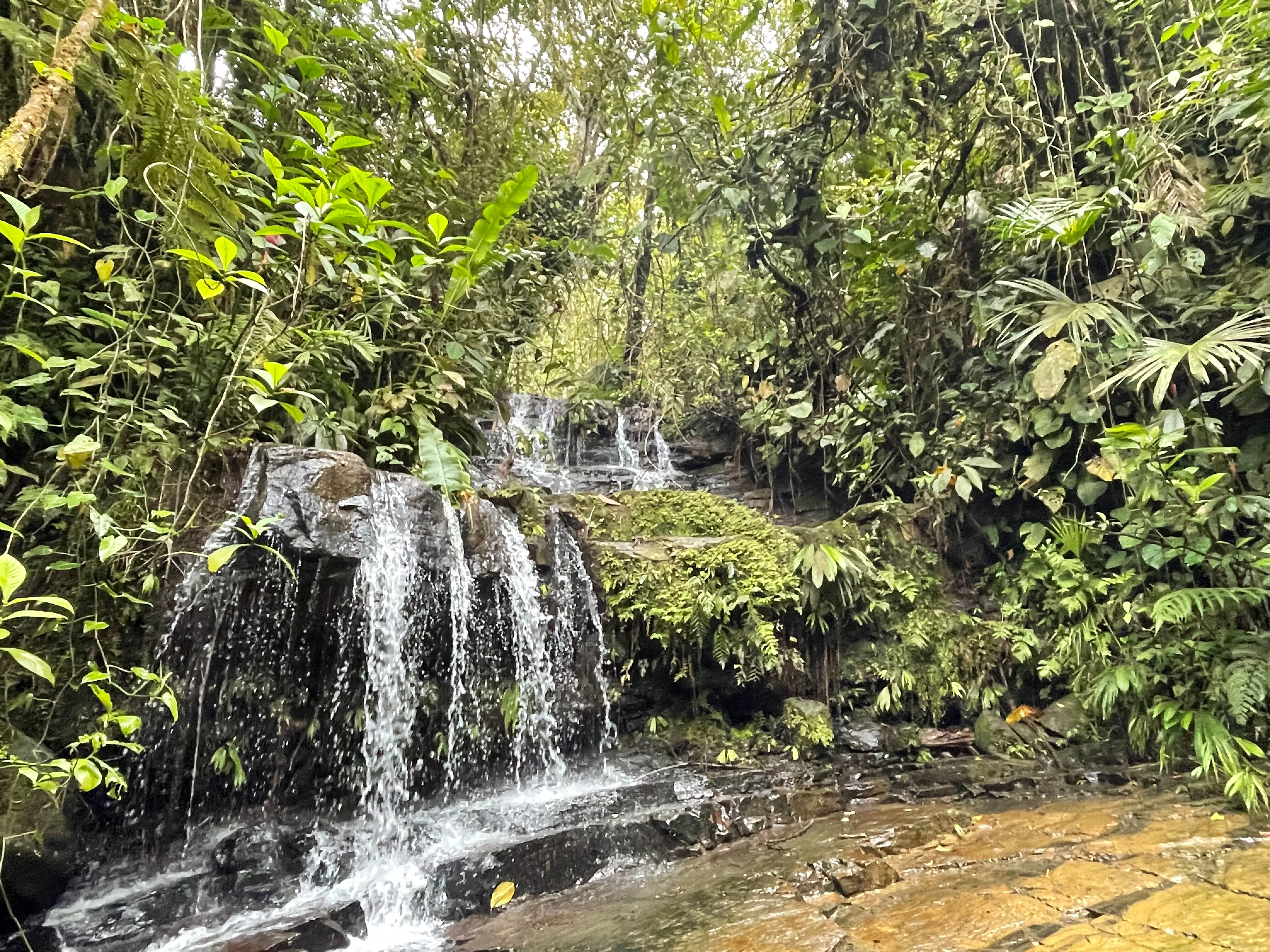 3 bed Land For Sale in Uvita, Puntarenas - thumb 19