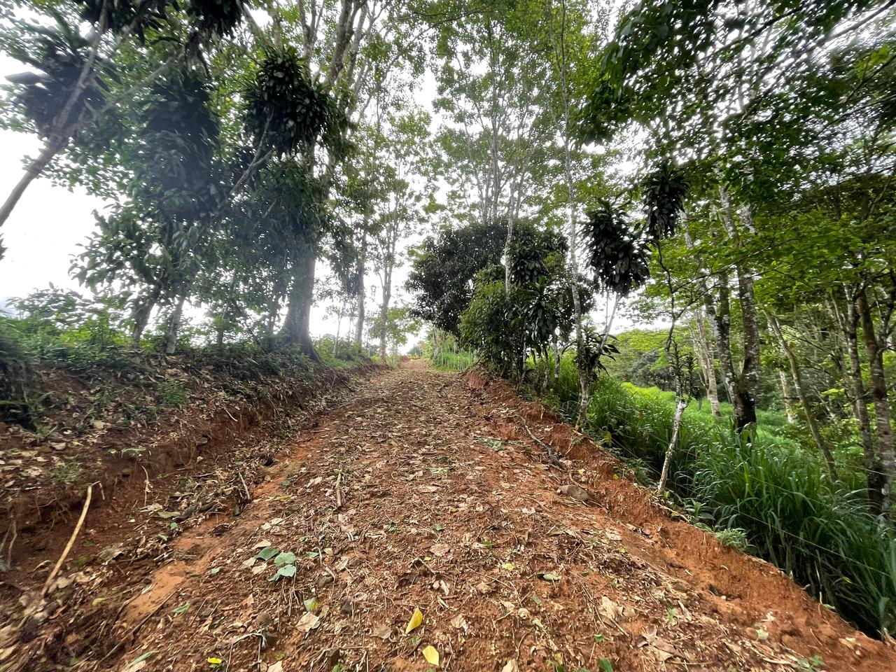 3 bed Land For Sale in Uvita, Puntarenas - thumb 11