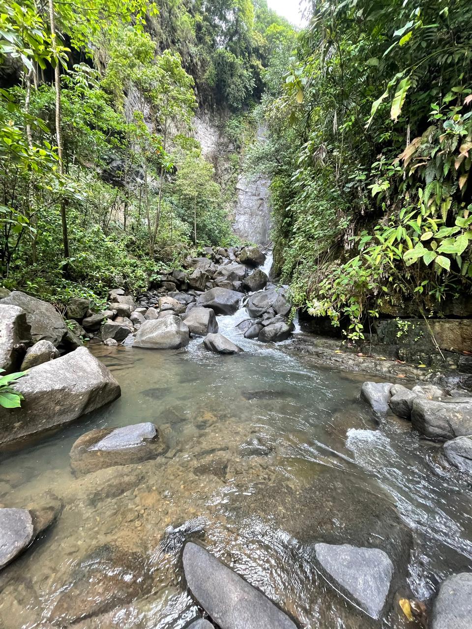 3 bed Land For Sale in Uvita, Puntarenas - thumb 21