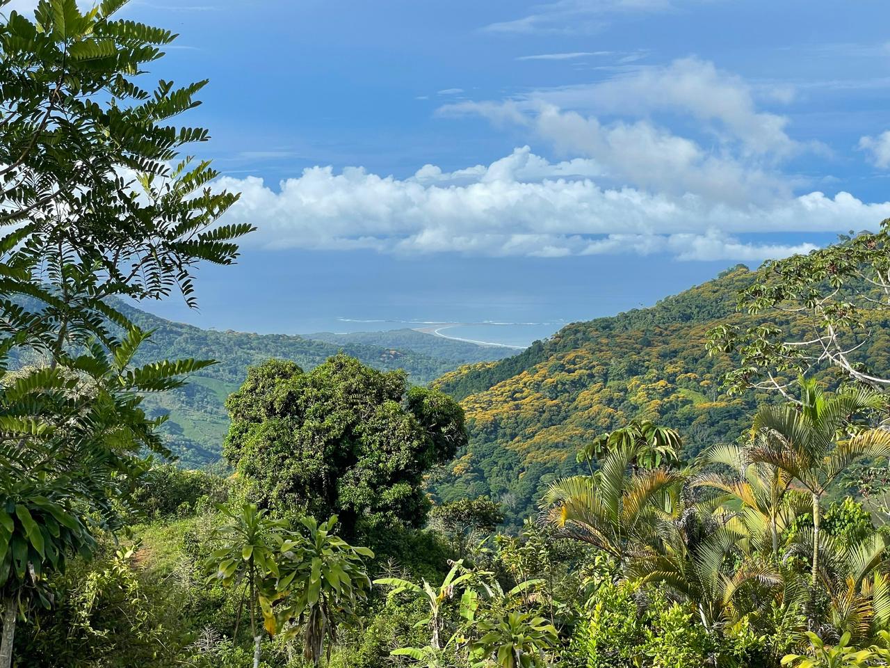 3 bed Land For Sale in Uvita, Puntarenas - thumb 1