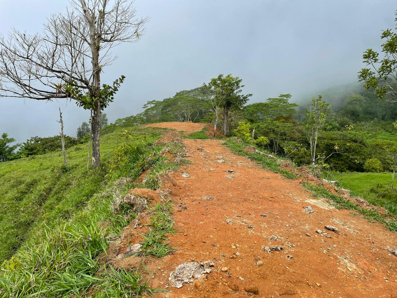 3 bed Land For Sale in Uvita, Puntarenas - thumb 5