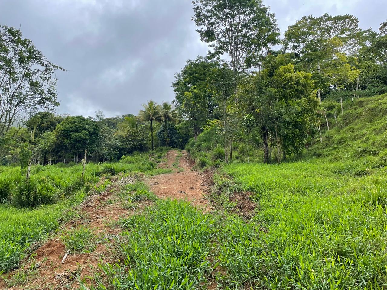 3 bed Land For Sale in Uvita, Puntarenas - thumb 7
