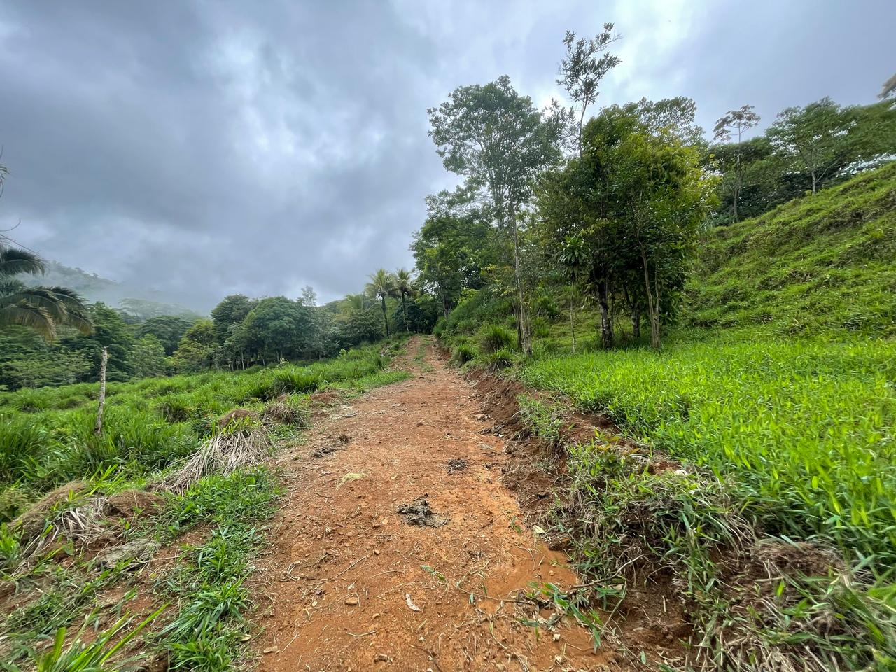 3 bed Land For Sale in Uvita, Puntarenas - thumb 6