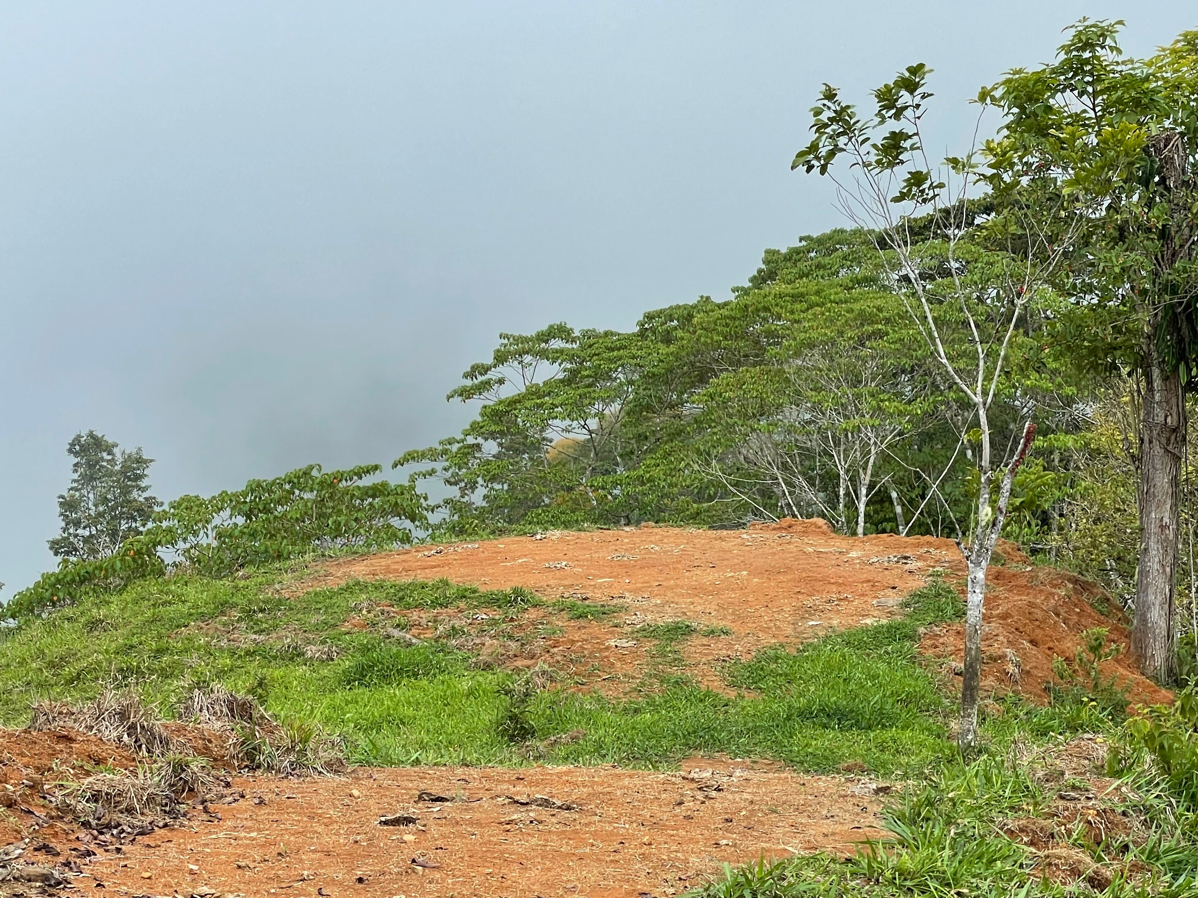 3 bed Land For Sale in Uvita, Puntarenas - thumb 4