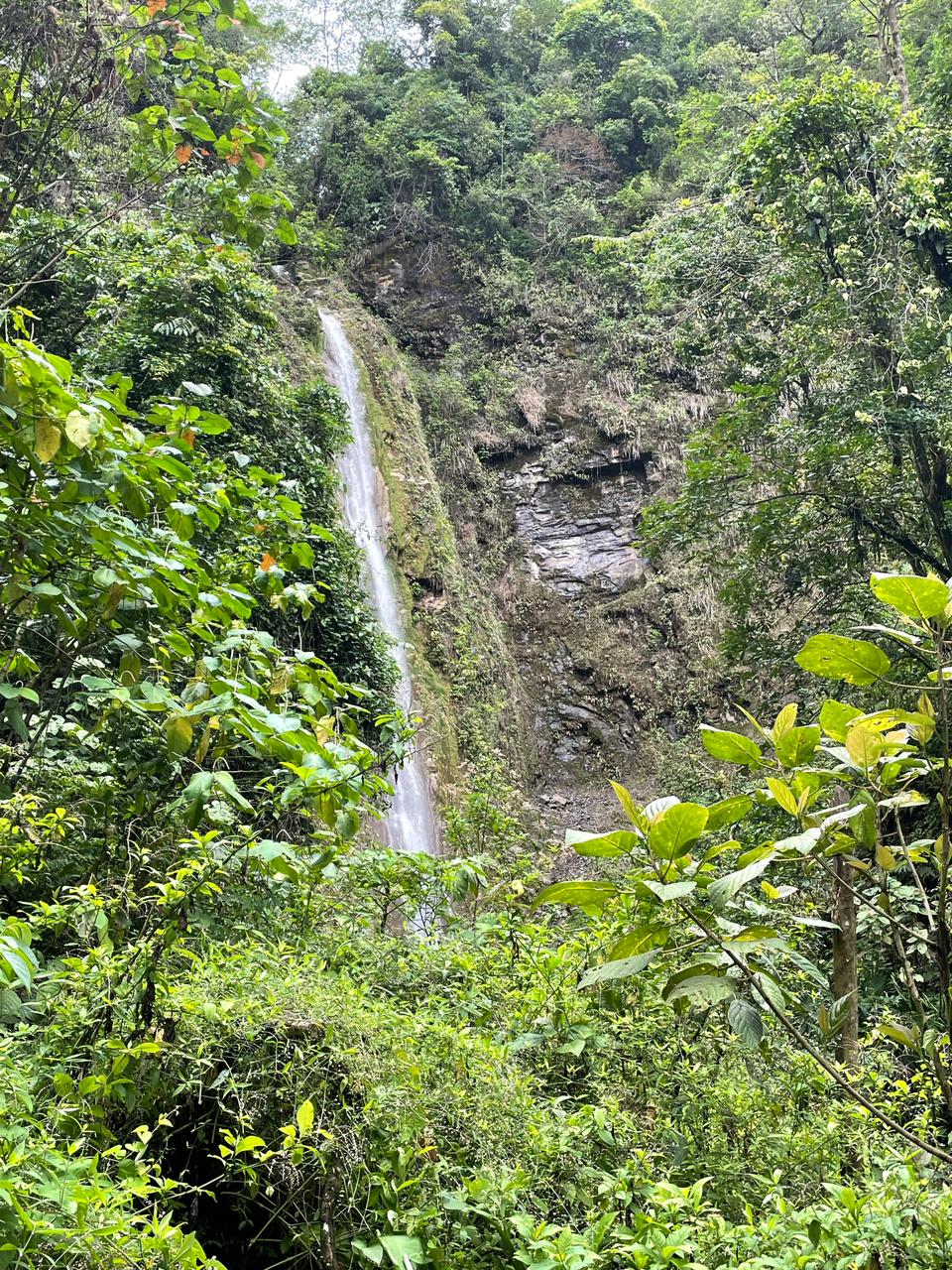 3 bed Land For Sale in Uvita, Puntarenas - thumb 16