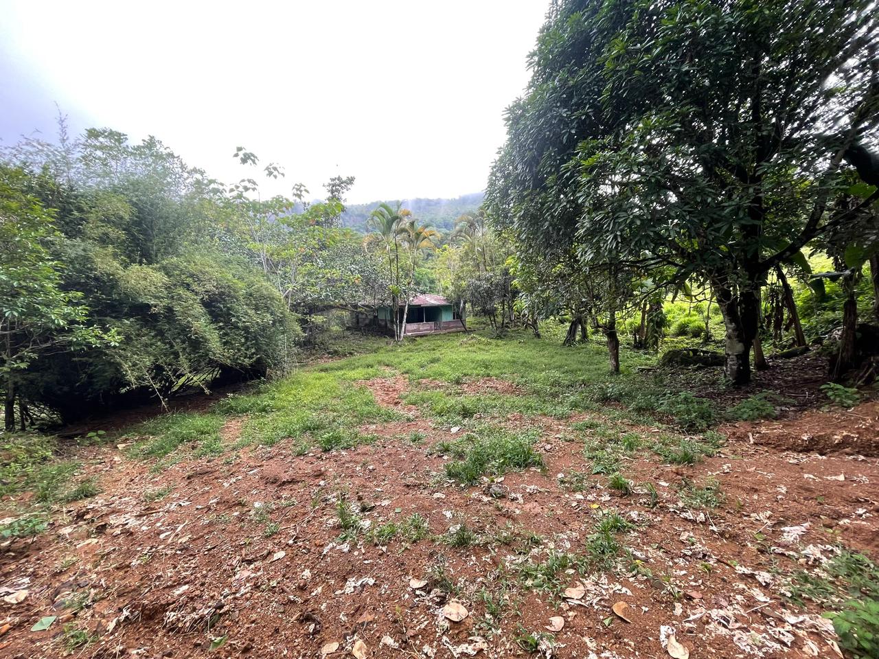 3 bed Land For Sale in Uvita, Puntarenas - thumb 8