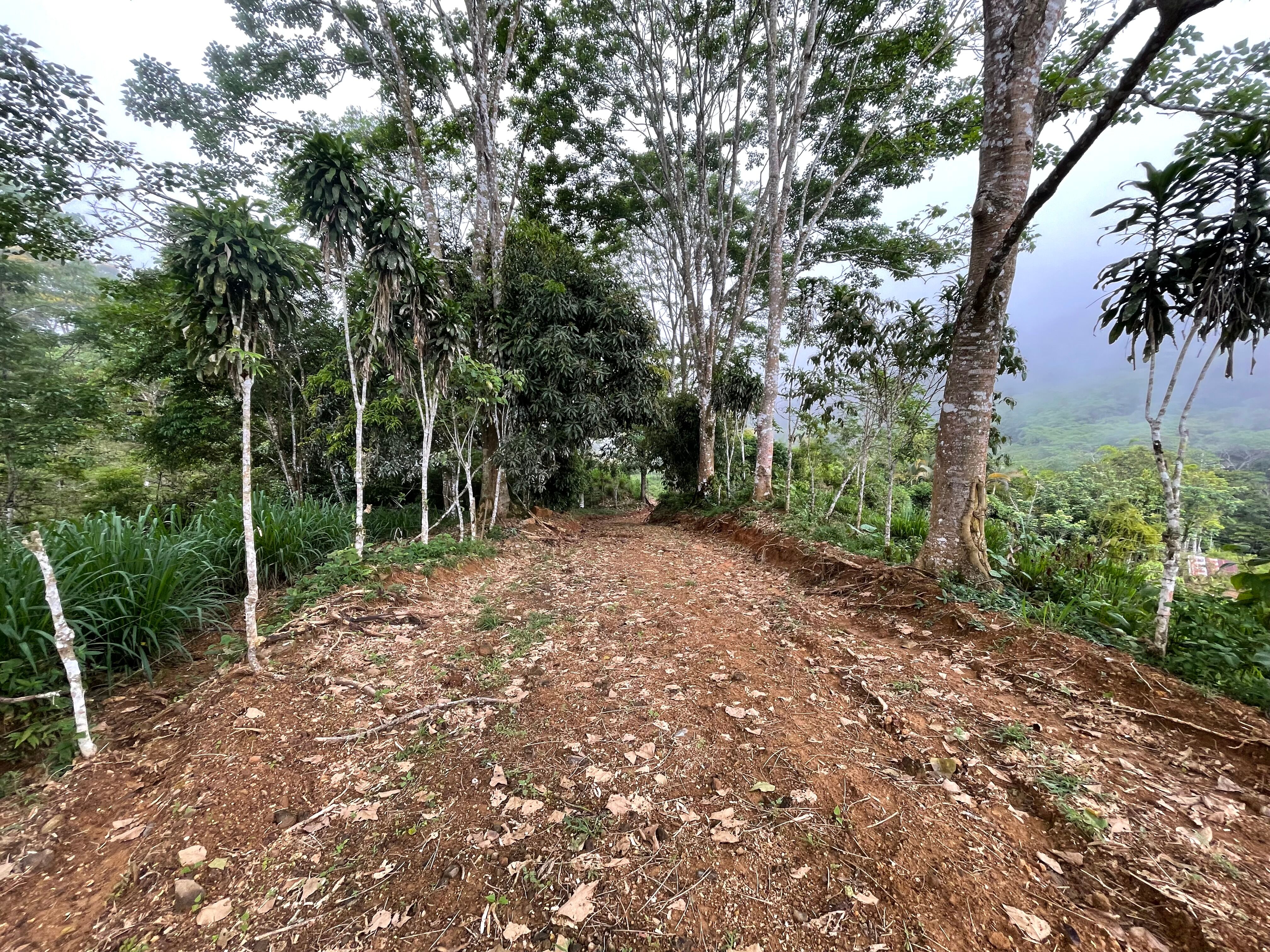 3 bed Land For Sale in Uvita, Puntarenas - thumb 9
