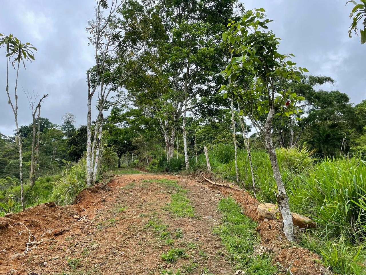 3 bed Land For Sale in Uvita, Puntarenas - thumb 10