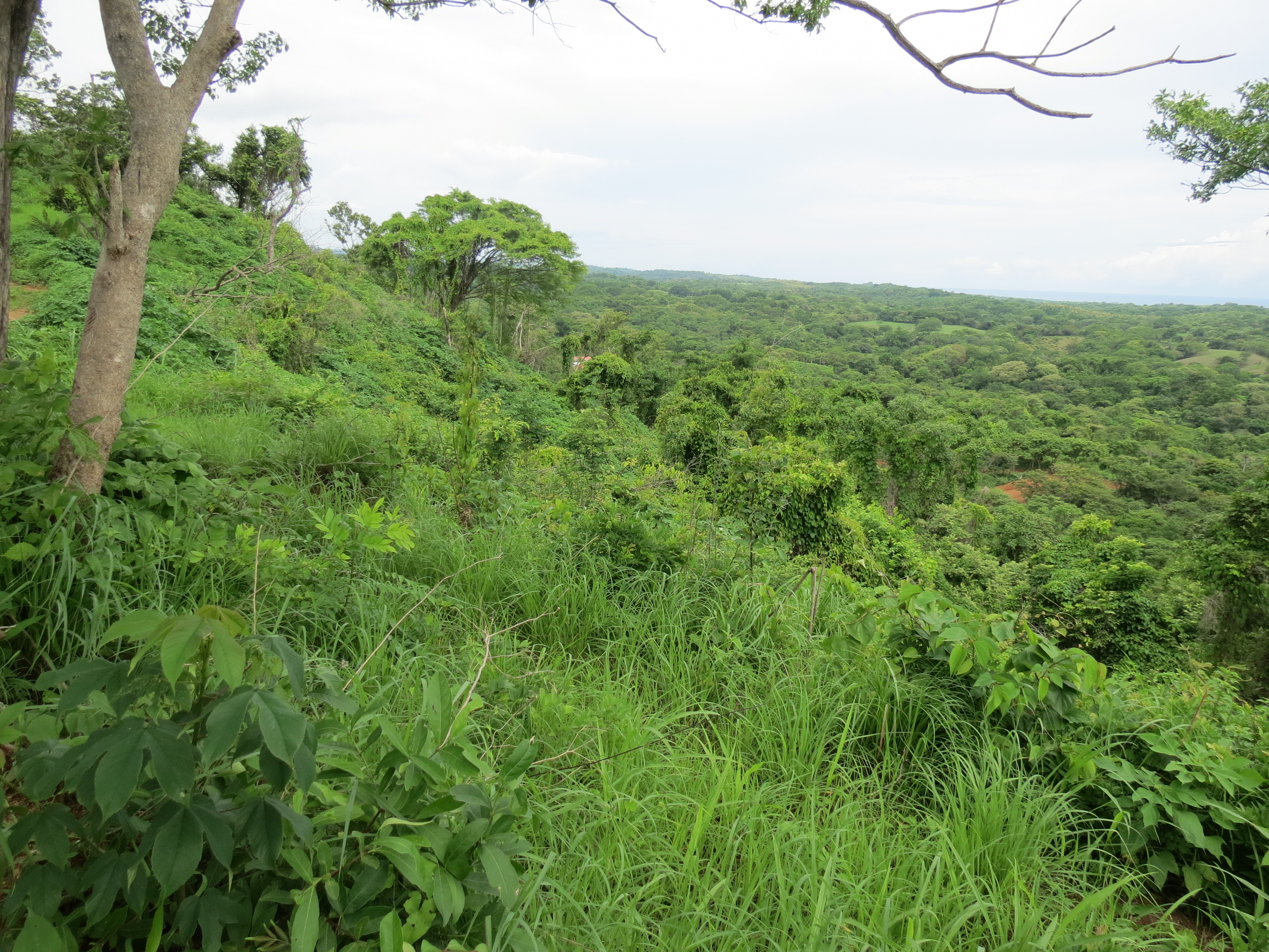 0 bed Land For Sale in Lagarto, Guanacaste - thumb 12
