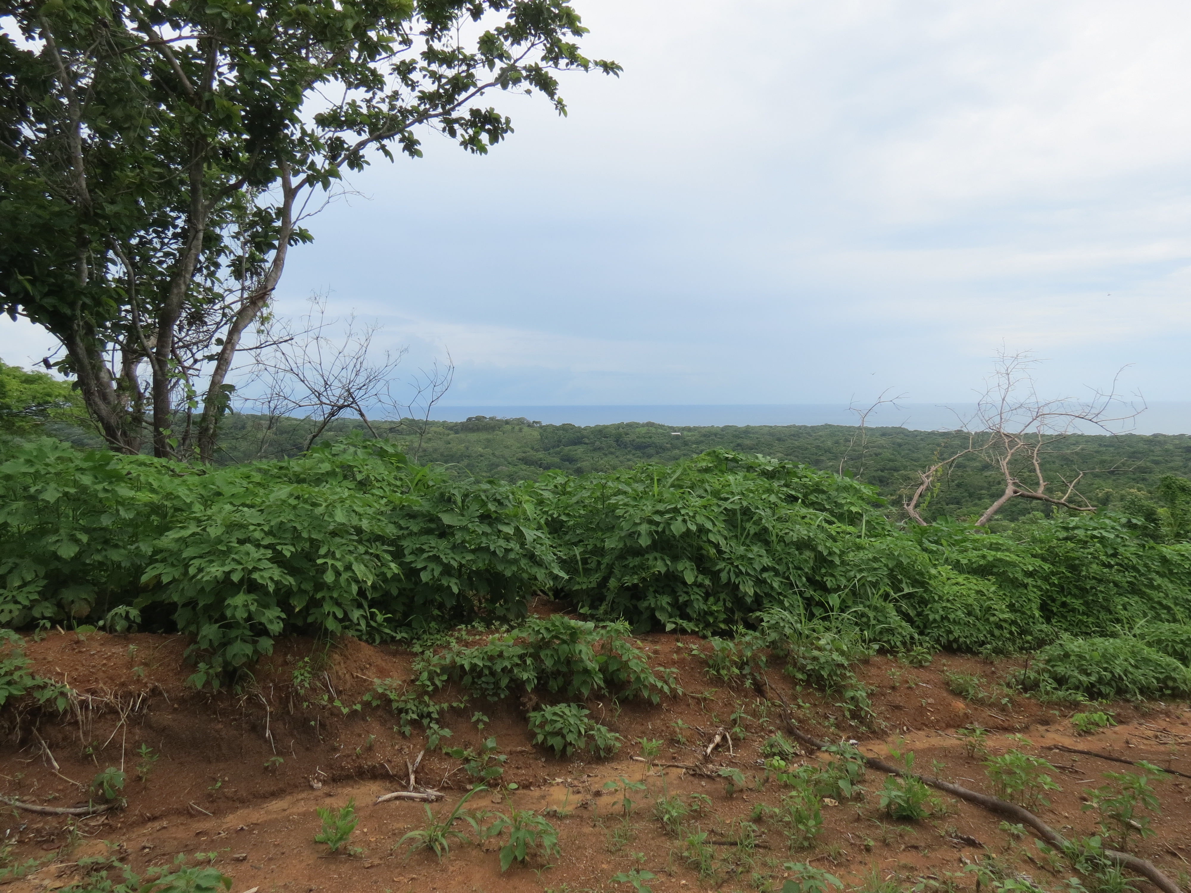 0 bed Land For Sale in Lagarto, Guanacaste - thumb 6