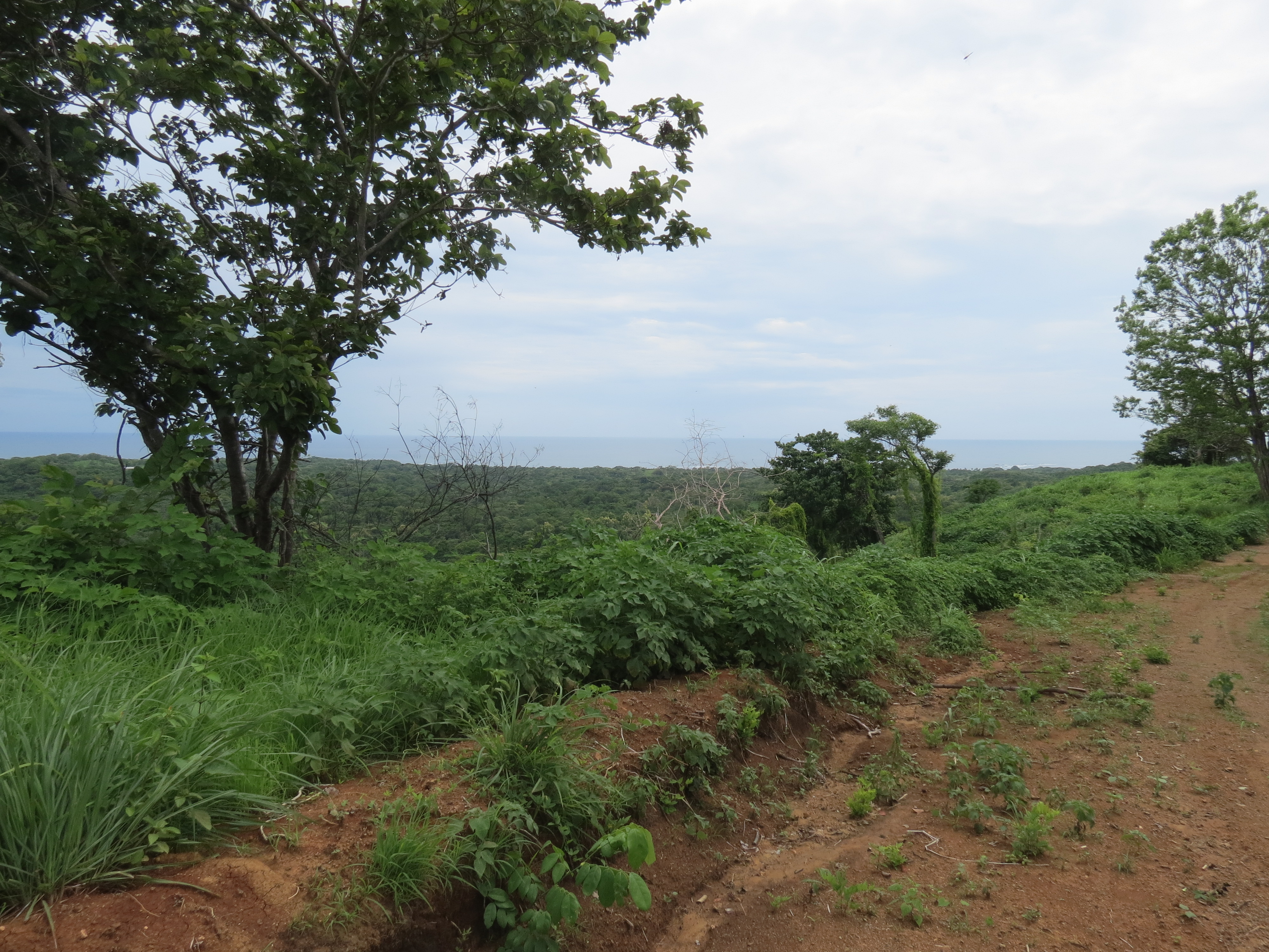 0 bed Land For Sale in Lagarto, Guanacaste - thumb 8