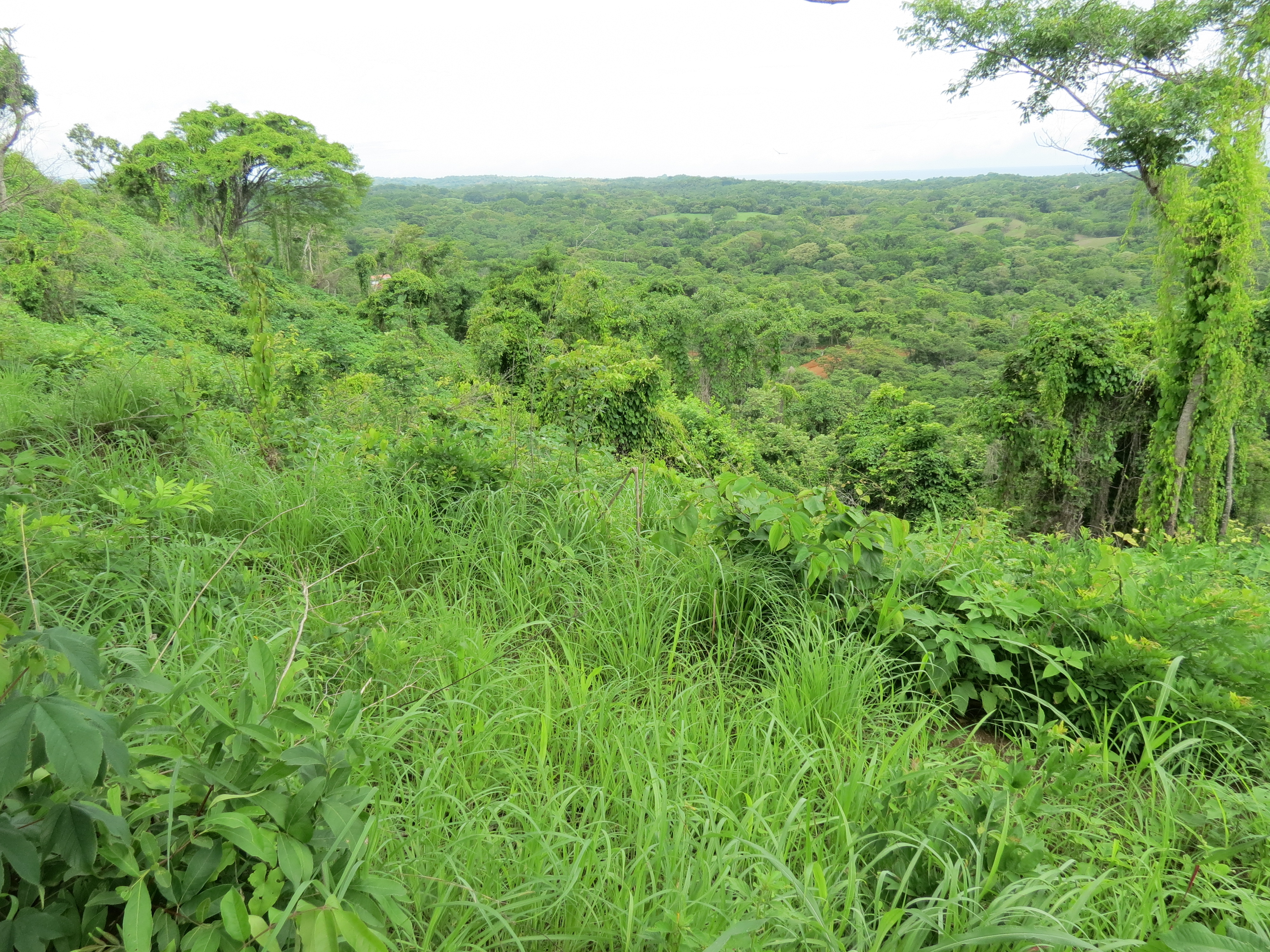 0 bed Land For Sale in Lagarto, Guanacaste - thumb 15