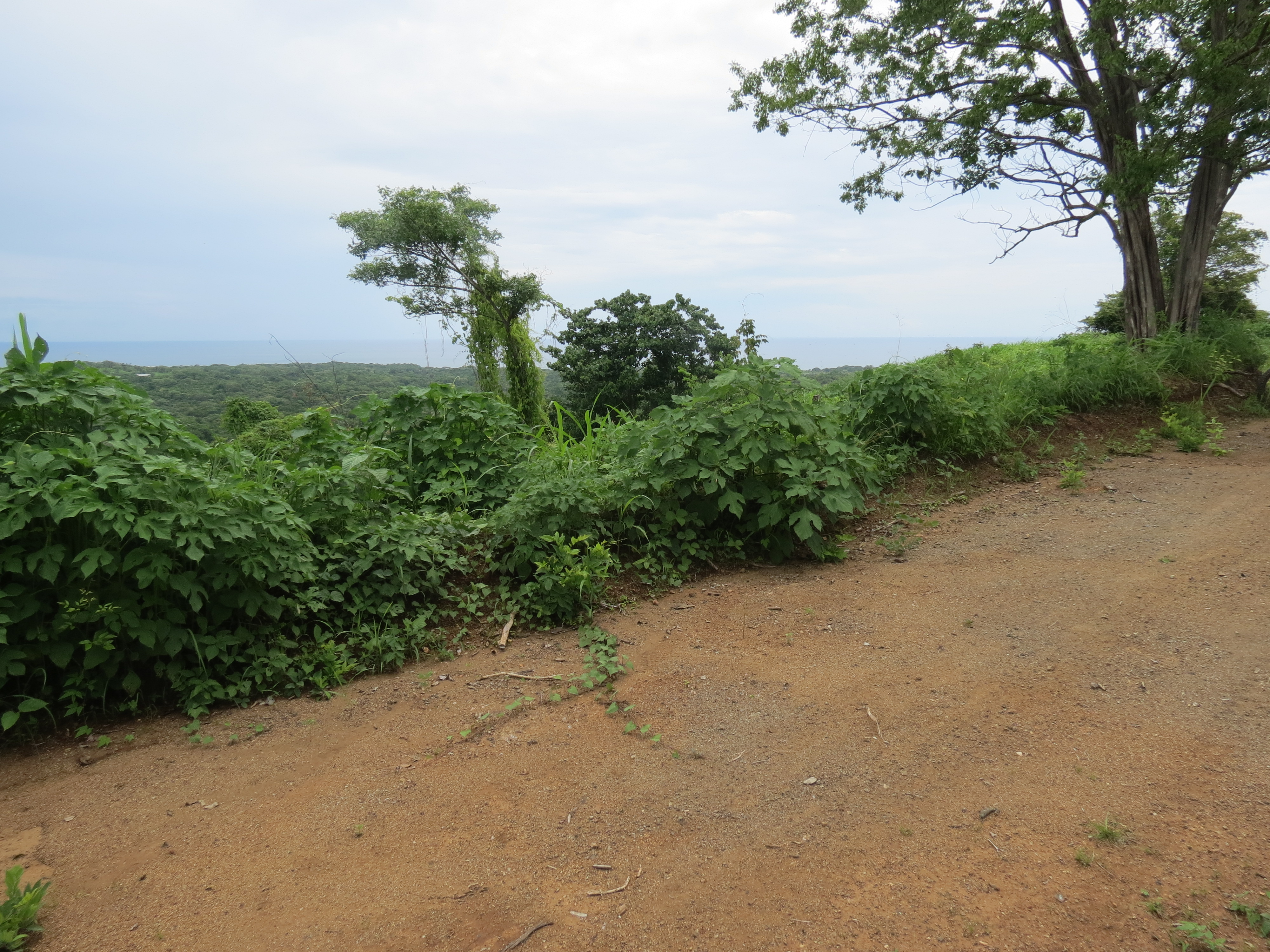 0 bed Land For Sale in Lagarto, Guanacaste - thumb 17