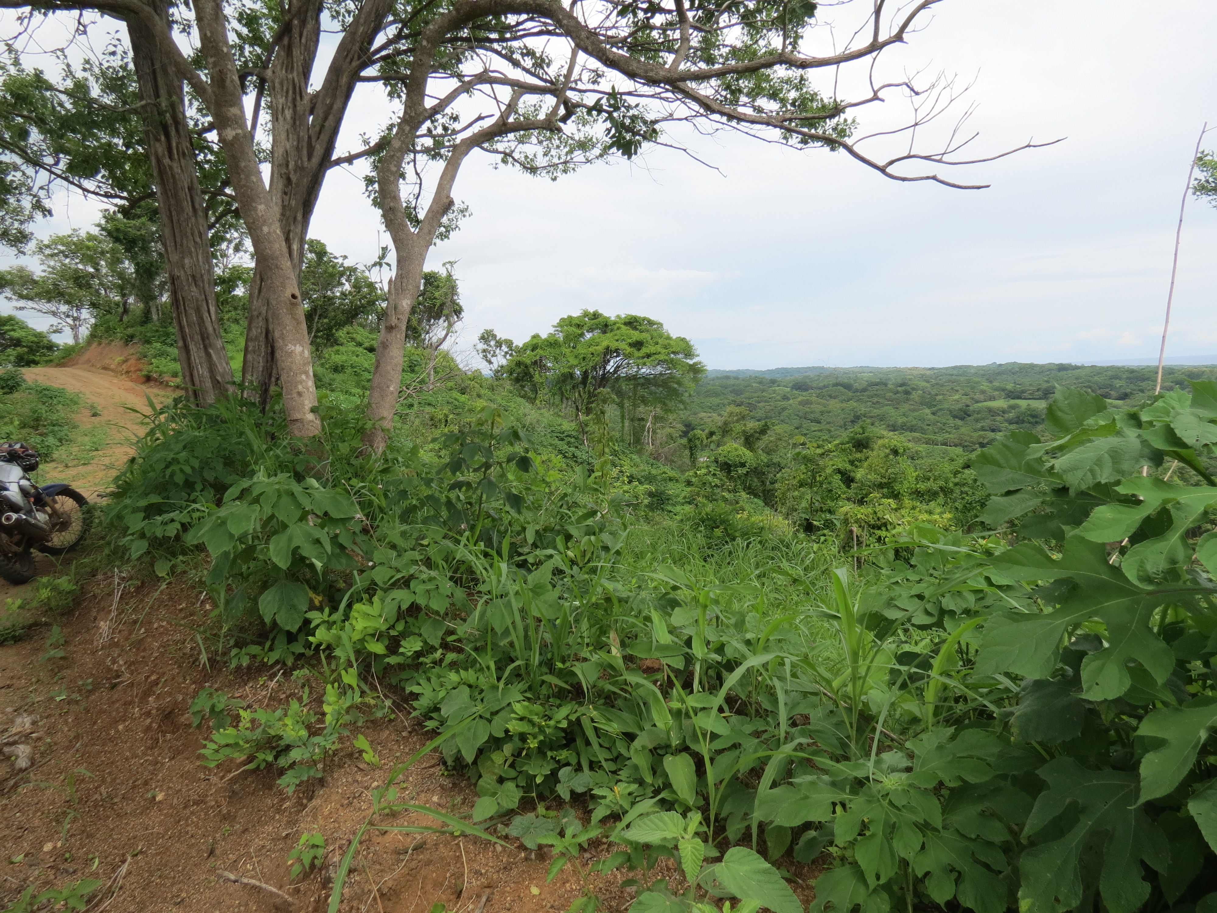 0 bed Land For Sale in Lagarto, Guanacaste - thumb 10