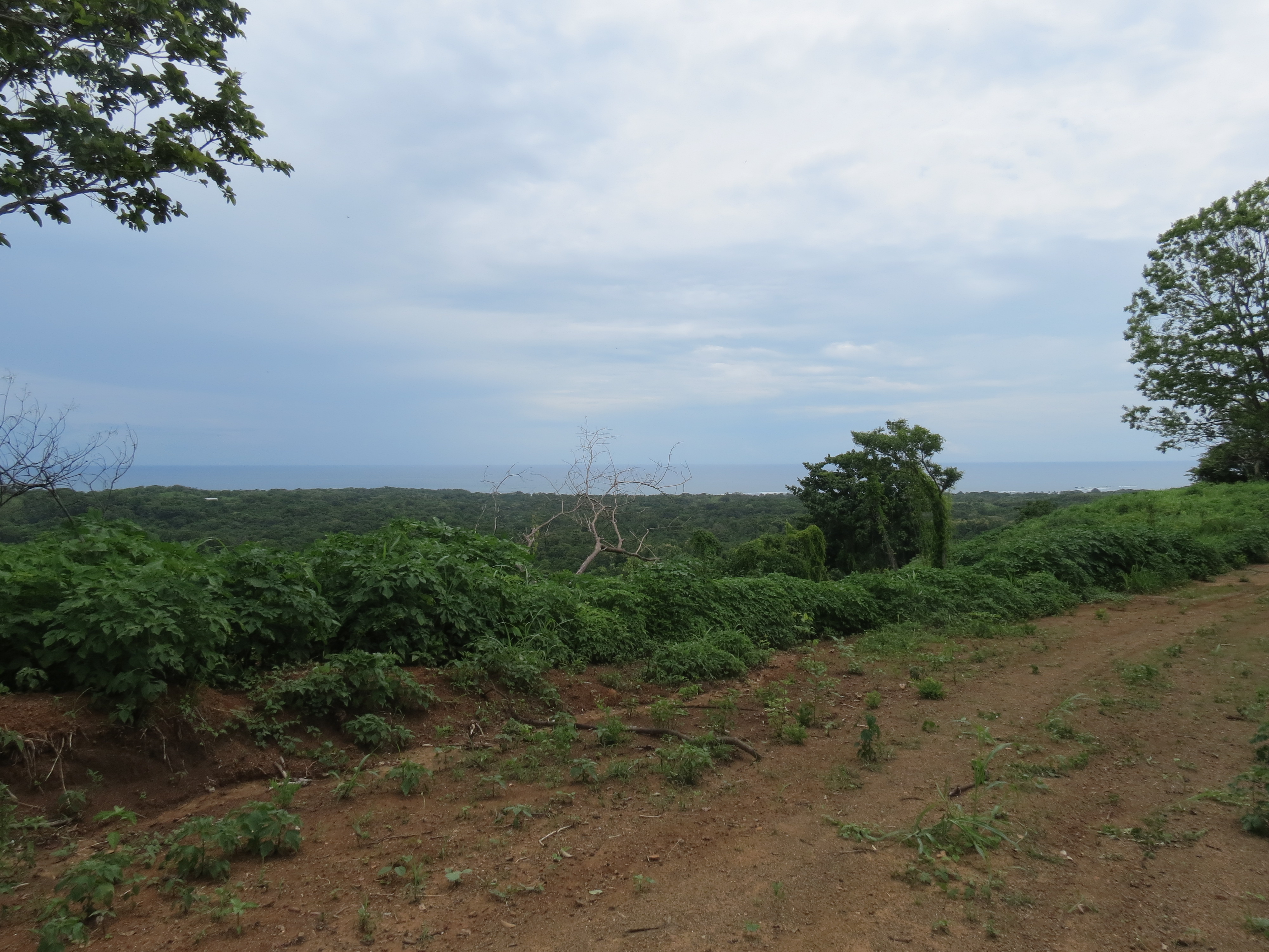 0 bed Land For Sale in Lagarto, Guanacaste - thumb 7