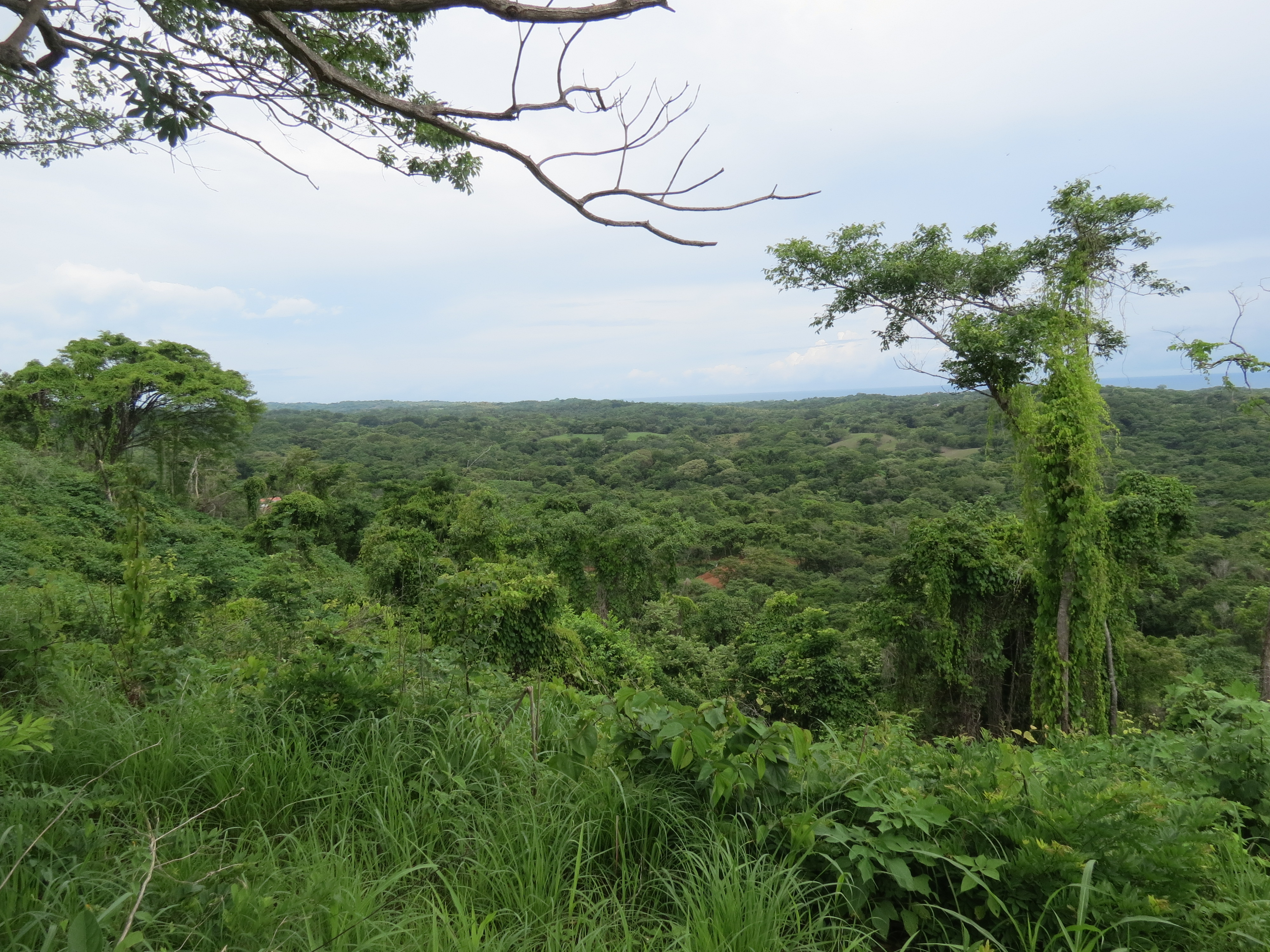 0 bed Land For Sale in Lagarto, Guanacaste - thumb 14