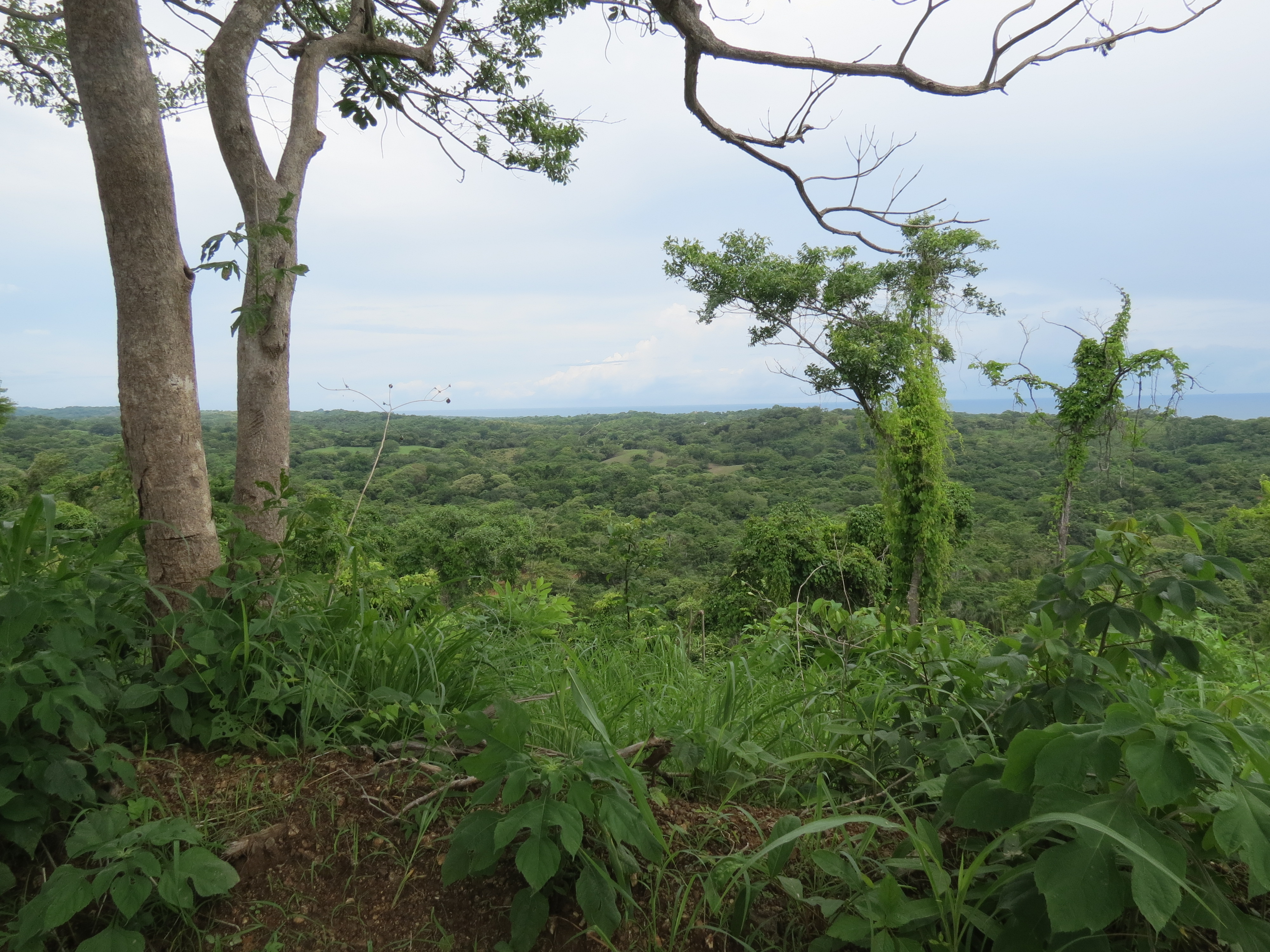 0 bed Land For Sale in Lagarto, Guanacaste - thumb 13